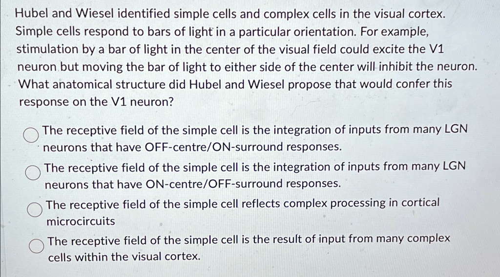 Hubel and Wiesel identified simple cells and complex cells in the ...