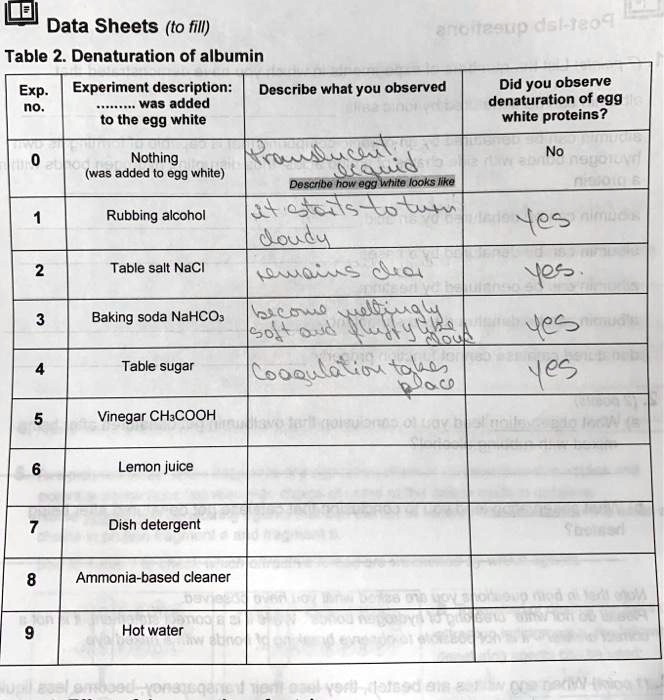 SOLVED Text Data Sheets (to fill) t( T7. 431731 Table 2