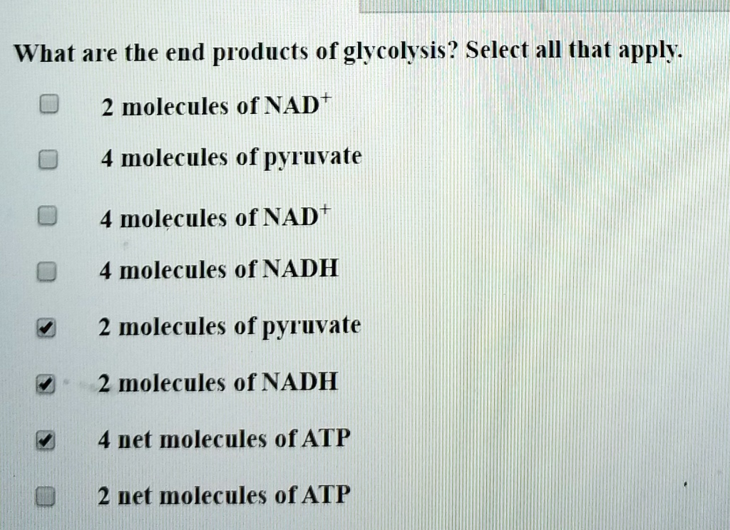 the end products of glycolysis include