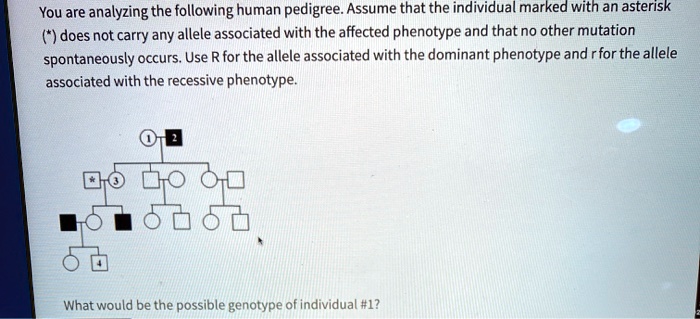 You are analyzing the following human pedigree. Assume that the individual marked with an asterisk (*) does not carry any allele associated with the affected phenotype and that no other mutation spontaneously occurs. Use R for the allele associated with the dominant phenotype and r for the allele associated with the recessive phenotype.
What would be the possible genotype of individual #1?