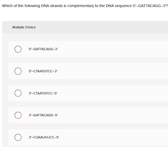 which of the following dna strands is complementary to the dna sequence 5 gattacagg 3 multiple choice 5 gattacagg 3 5 ctaatgtcc 3 3 ctaatgtcc 5 3 gattacagg 5 3 cuaaugucc 5 19189