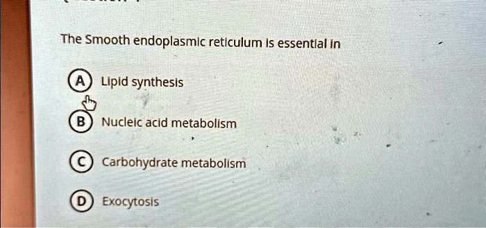 Endoplasmic Reticulum Stress Lipid Metabolism Lipotype Gmbh