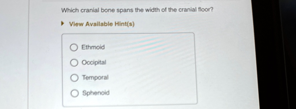Which Cranial Bone Spans the Width of the Cranial Floor -Anatomy Explained Simply