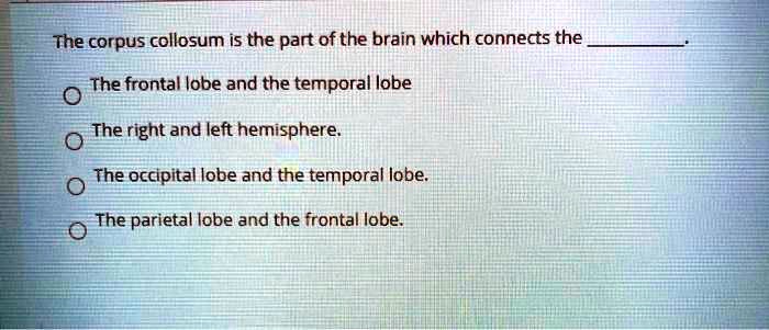 The corpus collosum is the part of the brain which connects the .
The frontal lobe and the temporal lobe
The right and left hemisphere.
The occipital lobe and the temporal lobe.
The parietal lobe and the frontal lobe.
