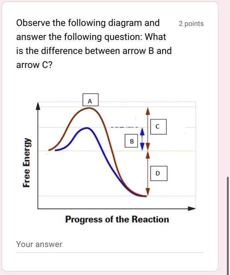 SOLVED 1) Observe the following diagram and answer the following