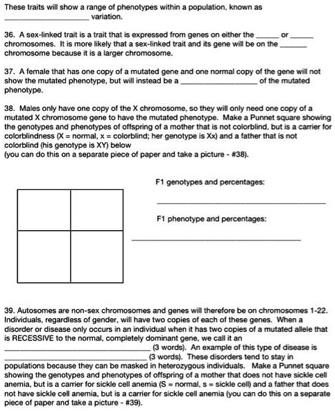 These traits will show a range of phenotypes within a population, known as
 variation.

36. A sex-linked trait is a trait that is expressed from genes on either the  or 
chromosomes. It is more likely that a sex-linked trait and its gene will be on the 
chromosome because it is a larger chromosome.

37. A female that has one copy of a mutated gene and one normal copy of the gene will not
show the mutated phenotype, but will instead be a  of the mutated
phenotype.

38. Males only have one copy of the X chromosome, so they will only need one copy of a
mutated X chromosome gene to have the mutated phenotype. Make a Punnet square showing
the genotypes and phenotypes of offspring of a mother that is not colorblind, but is a carrier for
colorblindness (X = normal, x = colorblind; her genotype is Xx) and a father that is not
colorblind (his genotype is XY) below
(you can do this on a separate piece of paper and take a picture - #38).

F1 genotypes and percentages:



F1 phenotype and percentages:



39. Autosomes are non-sex chromosomes and genes will therefore be on chromosomes 1-22.
Individuals, regardless of gender, will have two copies of each of these genes. When a
disorder or disease only occurs in an individual when it has two copies of a mutated allele that
is RECESSIVE to the normal, completely dominant gene, we call it an
 (3 words). An example of this type of disease is
 (3 words). These disorders tend to stay in
populations because they can be masked in heterozygous individuals. Make a Punnet square
showing the genotypes and phenotypes of offspring of a mother that does not have sickle cell
anemia, but is a carrier for sickle cell anemia (S = normal, s = sickle cell) and a father that does
not have sickle cell anemia, but is a carrier for sickle cell anemia (you can do this on a separate
piece of paper and take a picture - #39).