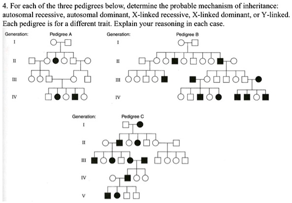 solved-for-each-of-the-three-pedigrees-below-determine-the-probable