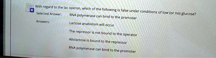 With regard to the lac operon, which of the following is false under conditions of low (or no) glucose? Selected Answer: RNA polymerase can bind to the promoter Answers: Lactose anabolism will occur The repressor is not bound to the operator Allolactose is bound to the repressor RNA polymerase can bind to the promoter