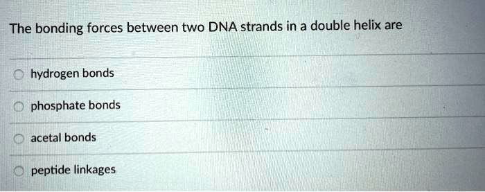 The bonding forces between two DNA strands in a double helix are

hydrogen bonds

phosphate bonds

acetal bonds

peptide linkages
