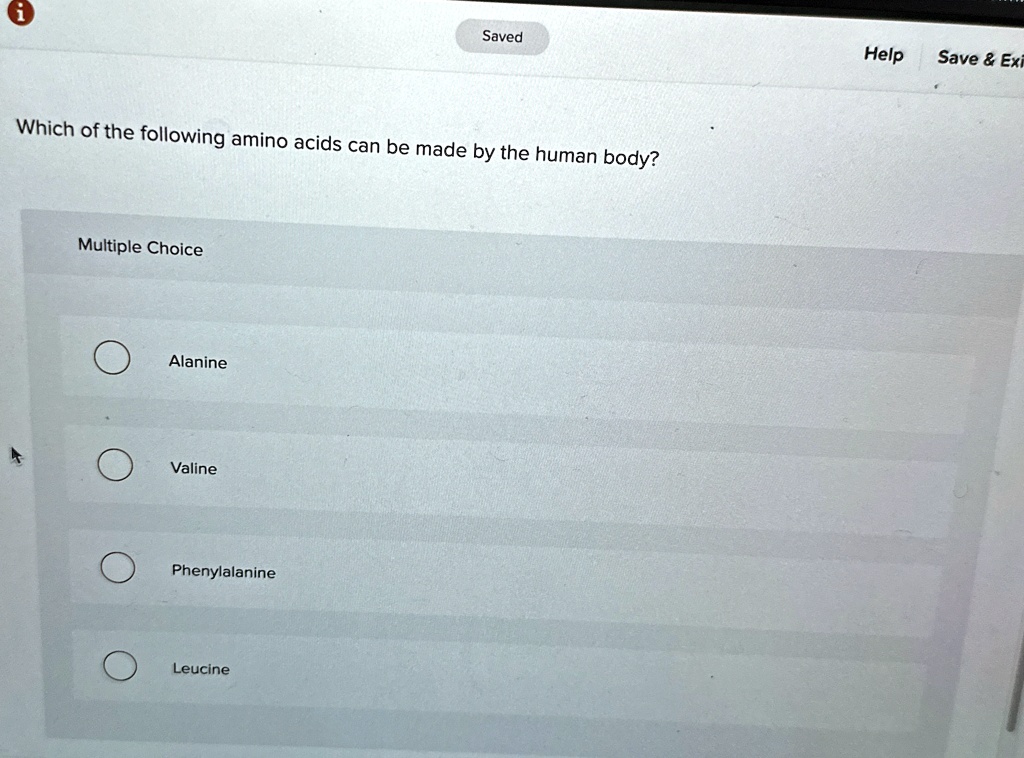 which of the following amino acids can be made by the human body