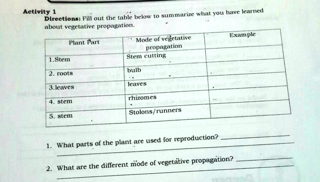 Activity 1
Directions: Fill out the table below to summarize what you have learned
about vegetative propagation.
Mode of vegetative
propagation
Plant Part
1.Stem
Stem cutting
Example
2. roots
3.leaves
4. stem
5. stem
bulb
leaves
rhizomes
Stolons/runners
1. What parts of the plant are used for reproduction?
2. What are the different mode of vegetative propagation?