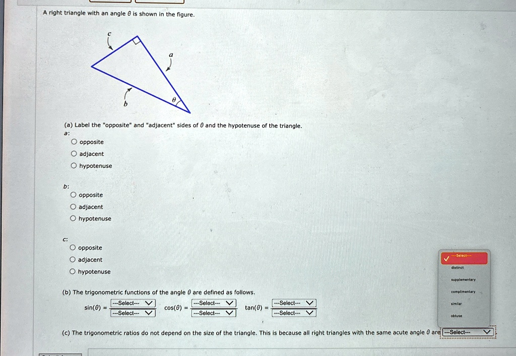 a right triangle with an angle theta is shown in the figure a o opposite o adjacent o hypotenuse b o opposite o adjacent o hypotenuse c o opposite o adjacent o hypotenuse b the trigonometric 06172