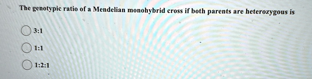the genotypic ratio of a mendelian monohybrid cross if both parents are heterozygous is 31 11 121 96623