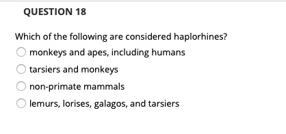 Which of the following are considered haplorhines? monkeys and apes, including humans tarsiers and monkeys non-primate mammals lemurs, lorises, galagos, and tarsiers