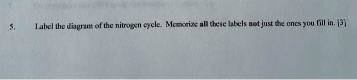 SOLVED: Label the diagram of the nitrogen = cycle: Memorize ...