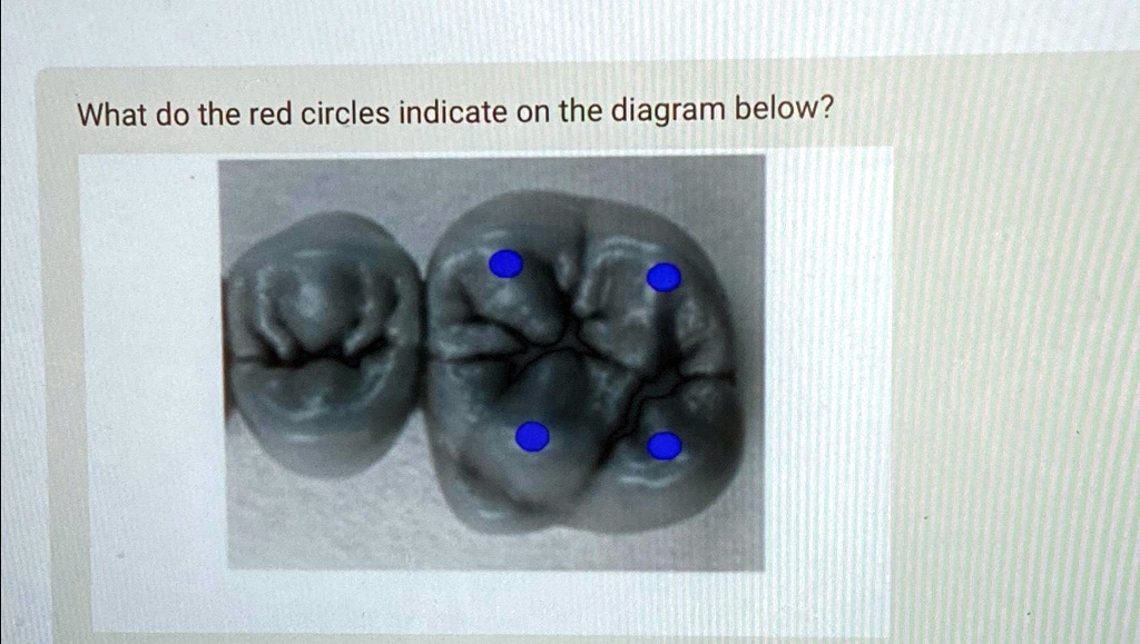 What do the red circles indicate on the diagram below?