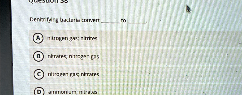 Solved Denitrifying Bacteria Convert Nitrites To Nitrogen Gas Nitrates To Nitrogen Gas 9395