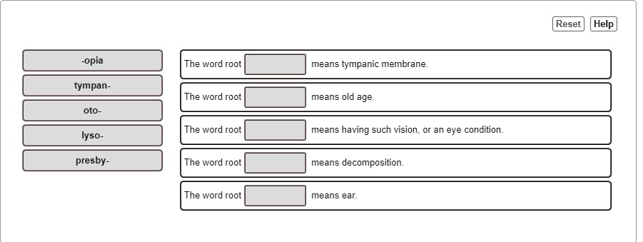 -opia
tympan-
oto-
lyso-
presby-
The word root [ ] means tympanic membrane.
The word root [ ] means old age.
The word root [ ] means having such vision, or an eye condition.
The word root [ ] means decomposition.
The word root [ ] means ear.