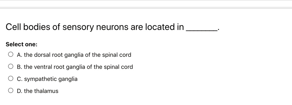 Cell bodies of sensory neurons are located in . Select...