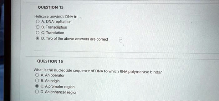 QUESTION 15
Helicase unwinds DNA in...
A. DNA replication
B. Transcription
C. Translation
D. Two of the above answers are correct
QUESTION 16
What is the nucleotide sequence of DNA to which RNA polymerase binds?
A. An operator
B. An origin
C. A promoter region
D. An enhancer region