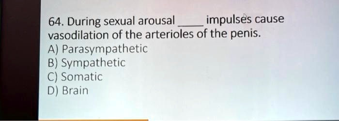 64. During sexual arousal  impulses cause vasodilation of the arterioles of the penis.
A) Parasympathetic
B) Sympathetic
C) Somatic
D) Brain