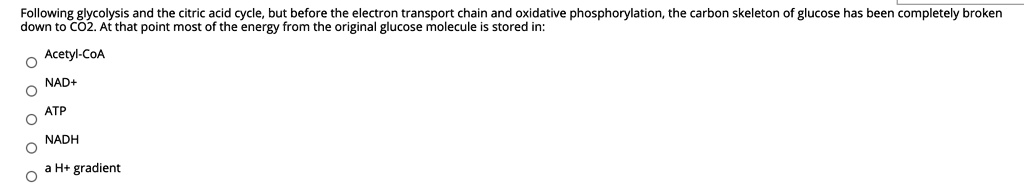 Following glycolysis and the citric acid cycle, but before the electron transport chain and oxidative phosphorylation, the carbon skeleton of glucose has been completely broken down to CO2. At that point most of the energy from the original glucose molecule is stored in:
Acetyl-CoA
NAD+
ATP
NADH
a H+ gradient