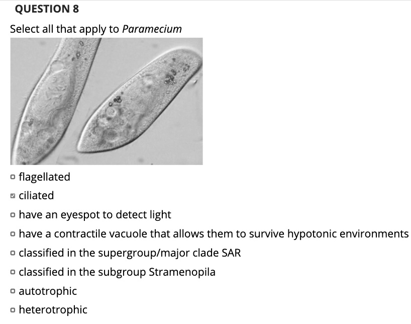 SOLVED QUESTION 8 Select all that apply to Paramecium Flagellated