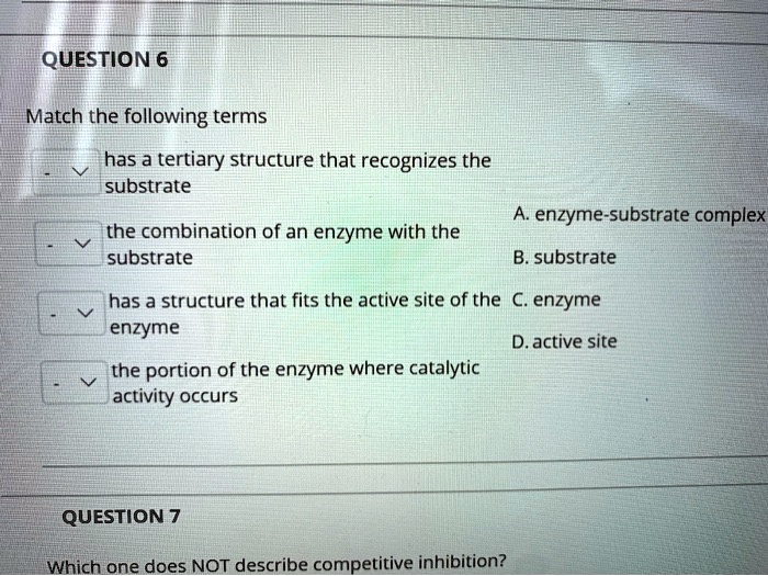SOLVED QUESTION 6 Match the following terms has a tertiary structure