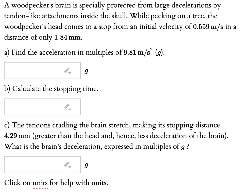 SOLVED: A woodpecker's brain is specially protected from large
