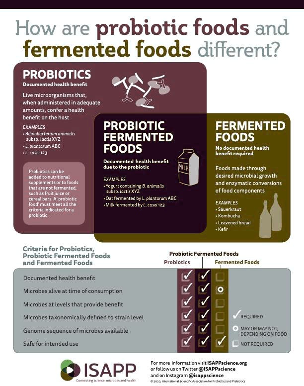 VIDEO solution: Please explain how probiotic foods and fermented foods ...