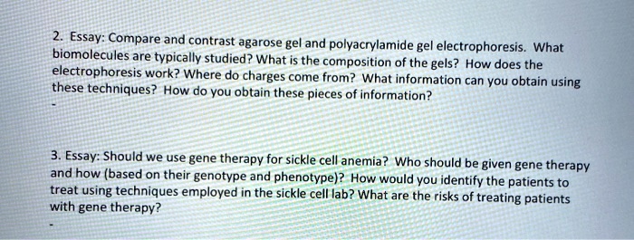 SOLVED: 2. Essay: Compare and contrast agarose gel and polyacrylamide ...