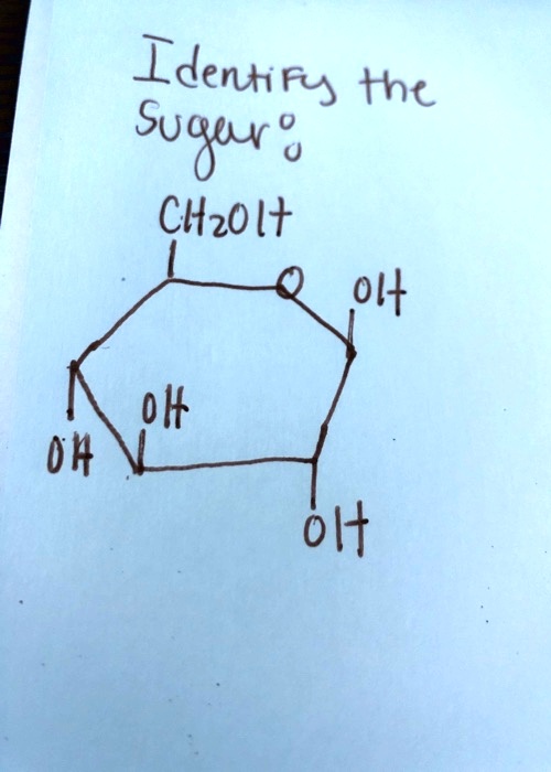 Identify the Sugar
CH2OH
OH
OH
OH
OH