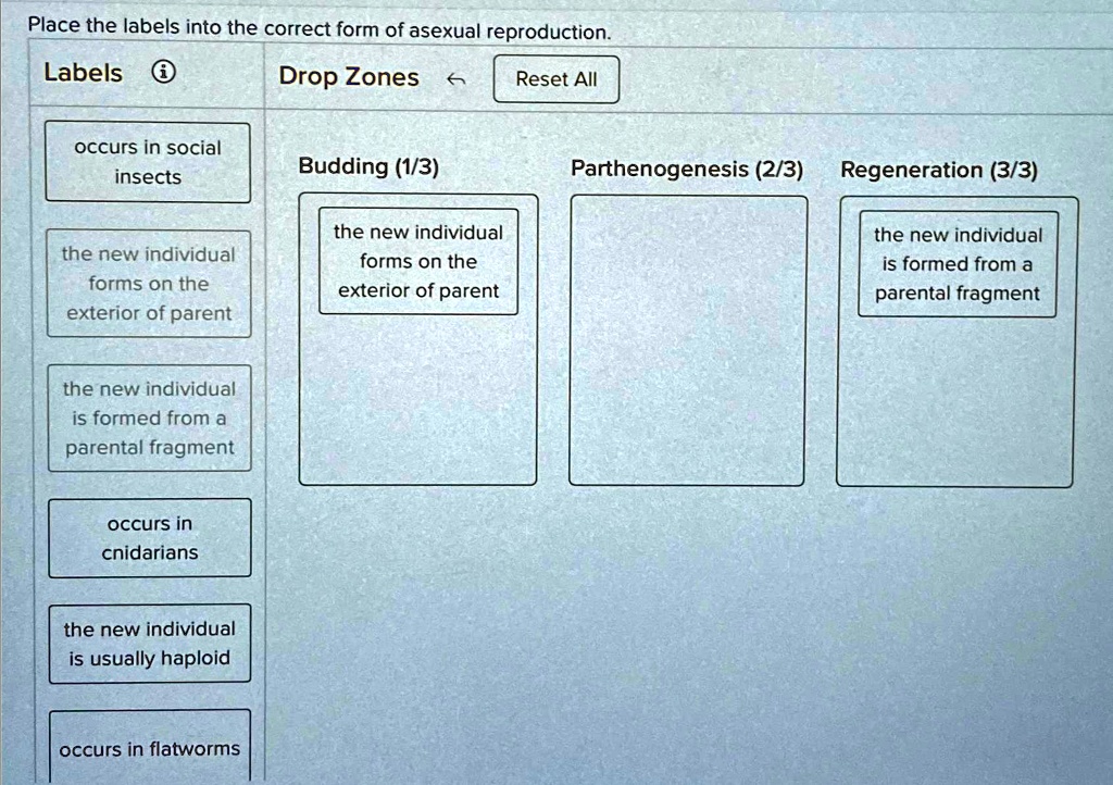 [GET ANSWER] Place the labels into the correct form of asexual ...