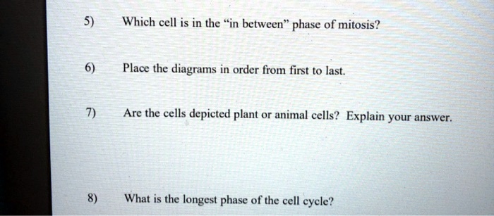 SOLVED: Which cell is in the 
