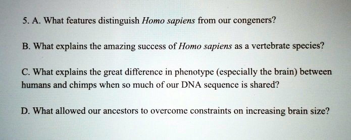 5. A. What features distinguish Homo sapiens from our congeners?

B. What explains the amazing success of Homo sapiens as a vertebrate species?

C. What explains the great difference in phenotype (especially the brain) between humans and chimps when so much of our DNA sequence is shared?

D. What allowed our ancestors to overcome constraints on increasing brain size?