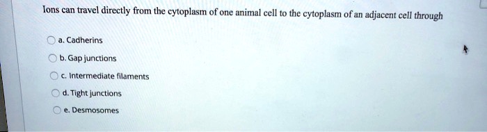 Ions can travel directly from the cytoplasm of one animal cell to the cytoplasm of an adjacent cell through
a. Cadherins
b. Gap junctions
c. Intermediate filaments
d. Tight junctions
e. Desmosomes