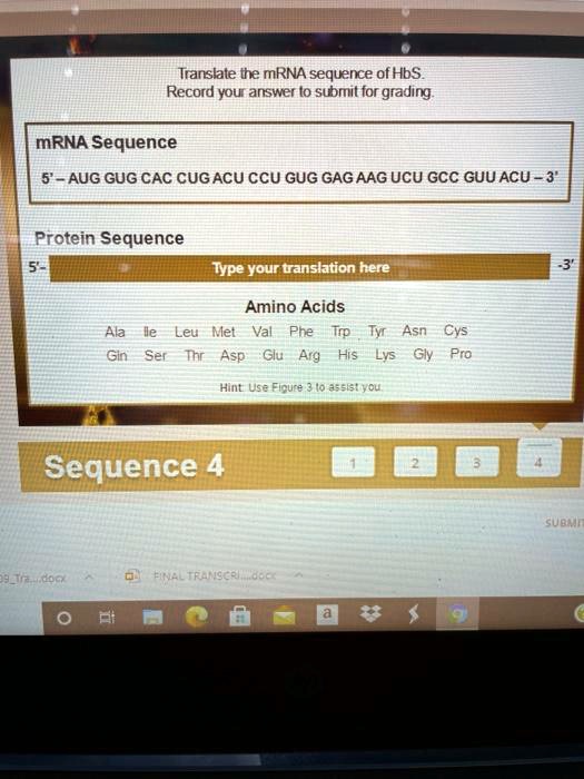 SOLVED: Translate the mRNA sequence of HbS. Record your answer to ...