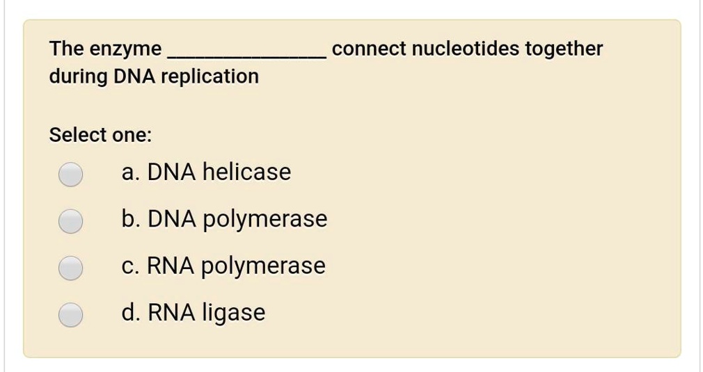SOLVED The enzyme during DNA replication connect nucleotides together