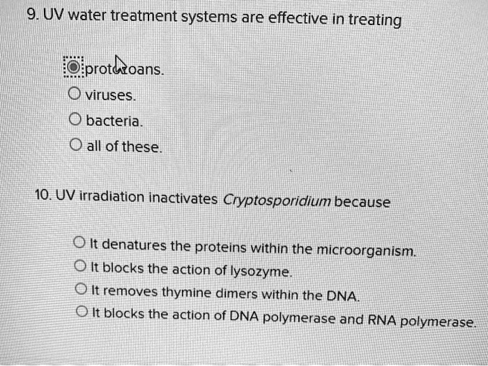 9. UV water treatment systems are effective in treating
protozoans.
viruses.
bacteria.
all of these.
10. UV irradiation inactivates Cryptosporidium because
It denatures the proteins within the microorganism.
It blocks the action of lysozyme.
It removes thymine dimers within the DNA.
It blocks the action of DNA polymerase and RNA polymerase.