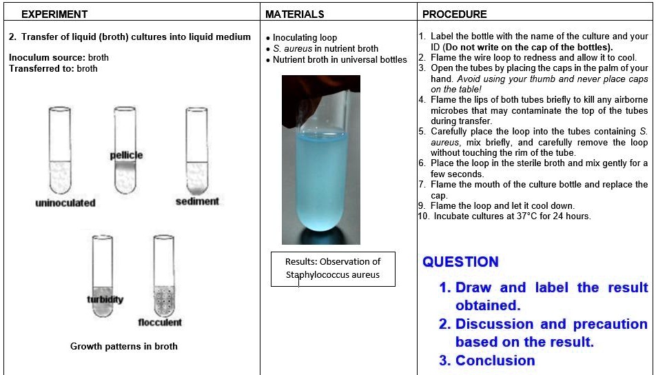 SOLVED: EXPERIMENT MATERIALS PROCEDURE Transfer Of Liquid (broth ...