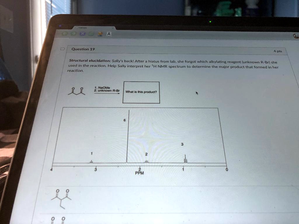 Solved Question 19 Pts Structural Elucidation Sally S Back After