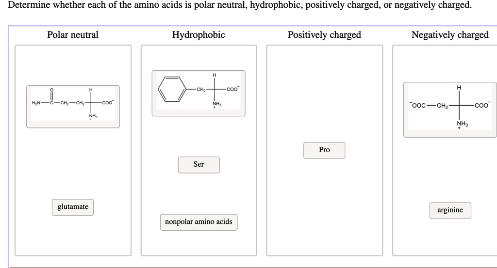 SOLVED Determine whether each of the amino acids is polar neutral