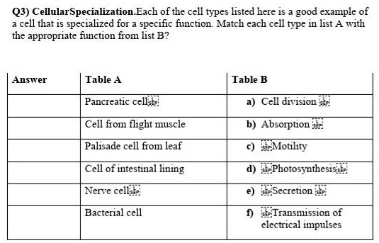 SOLVED: Q3) Cellular Specialization Each of the cell types listed here ...