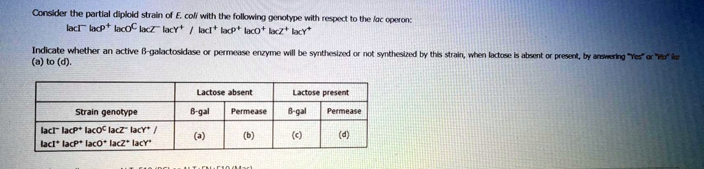 consider the partial diploid strain of e coli with the following ...