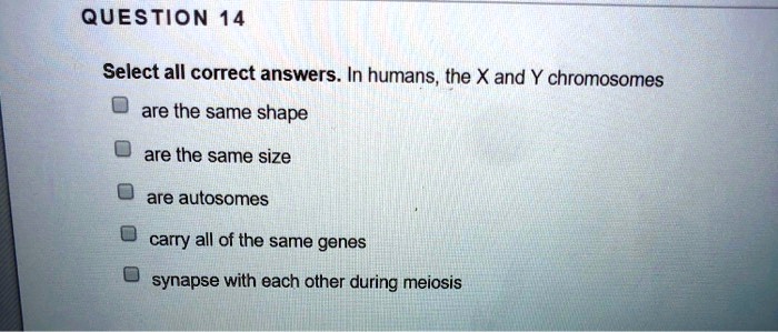 Solved Select All Correct Answers In Humans The X And Y Chromosomes