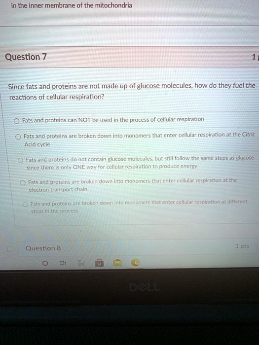 Since fats and proteins are not made up of glucose molecules, how do they fuel the
reactions of cellular respiration?

Fats and proteins can NOT be used in the process of cellular respiration
Fats and proteins are broken down into monomers that enter cellular respiration at the Citric
Acid cycle
Fats and proteins do not contain glucose molecules, but still follow the same steps as glucose
since there is only ONE way for cellular respiration to produce energy
Fats and proteins are broken down into monomers that enter cellular respiration at the
electron transport chain
Fats and proteins are broken down into monomers that enter cellular respiration at different
steps in the process