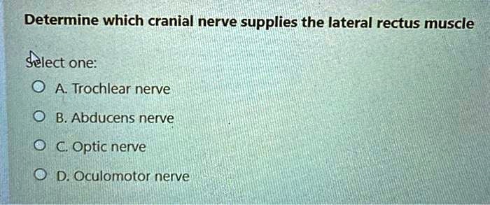 solved-determine-which-cranial-nerve-supplies-the-lateral-rectus