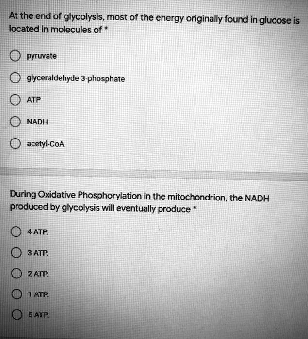 At the end of glycolysis, most of the energy originally found in glucose is located in molecules of *

pyruvate

glyceraldehyde 3-phosphate

ATP

NADH

acetyl-CoA

During Oxidative Phosphorylation in the mitochondrion, the NADH produced by glycolysis will eventually produce *

4 ATP.

3 ATP.

2 ATP.

1 ATP.

5 ATP.