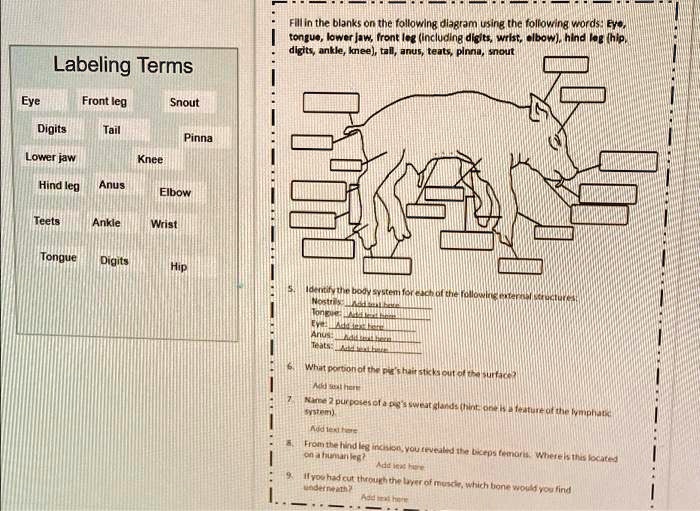 SOLVED Text Fill in the blanks on the following diagram using the