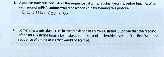 3. A protein molecule consists of the sequence cytosine, leucine, tyrosine, serine, leucine. What sequence of mRNA codons would be responsible for forming this protein?
CCUU UAU UCU CUU

4. Sometimes a mistake occurs in the translation of an mRNA strand. Suppose that the reading of the mRNA strand began, by mistake, at the second nucleotide instead of the first. Write the sequence of amino acids that would be formed.